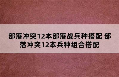 部落冲突12本部落战兵种搭配 部落冲突12本兵种组合搭配